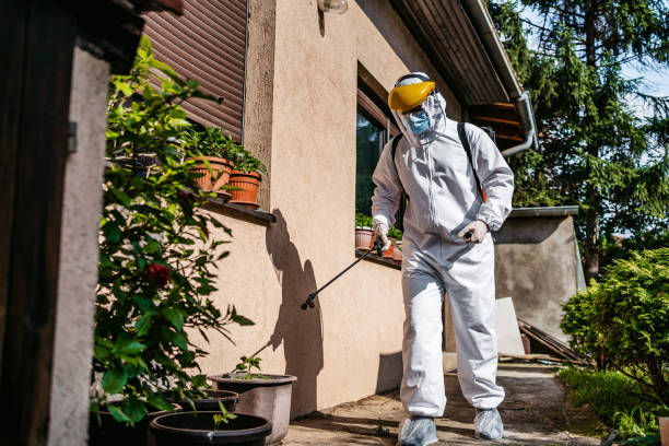Pest Control Cost in Bolindale, OH