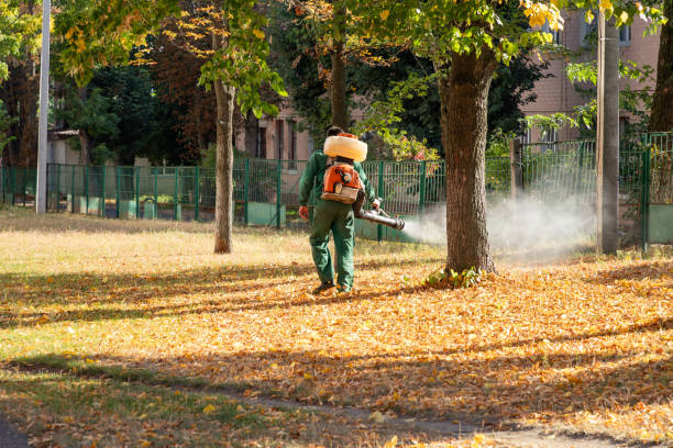 Best Wildlife Control Services  in Bolindale, OH