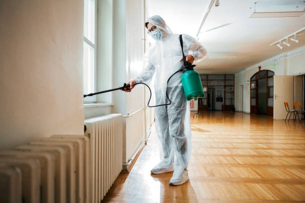 Pest Prevention Services in Bolindale, OH