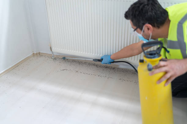 Best Pest Inspection Near Me  in Bolindale, OH