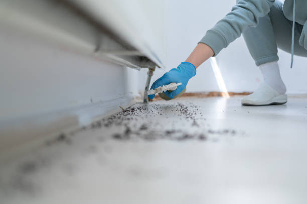 Best Residential Pest Control  in Bolindale, OH